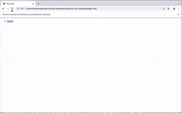 selenium find element